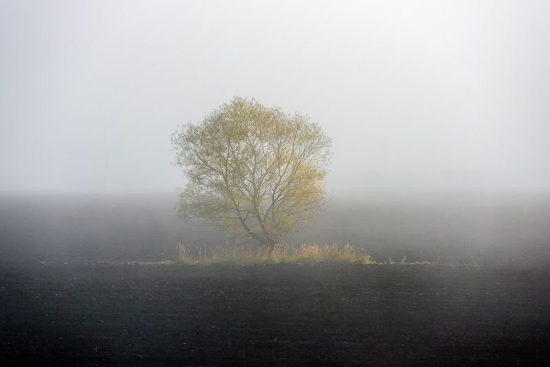 осень туман Однажды осенью фото превью