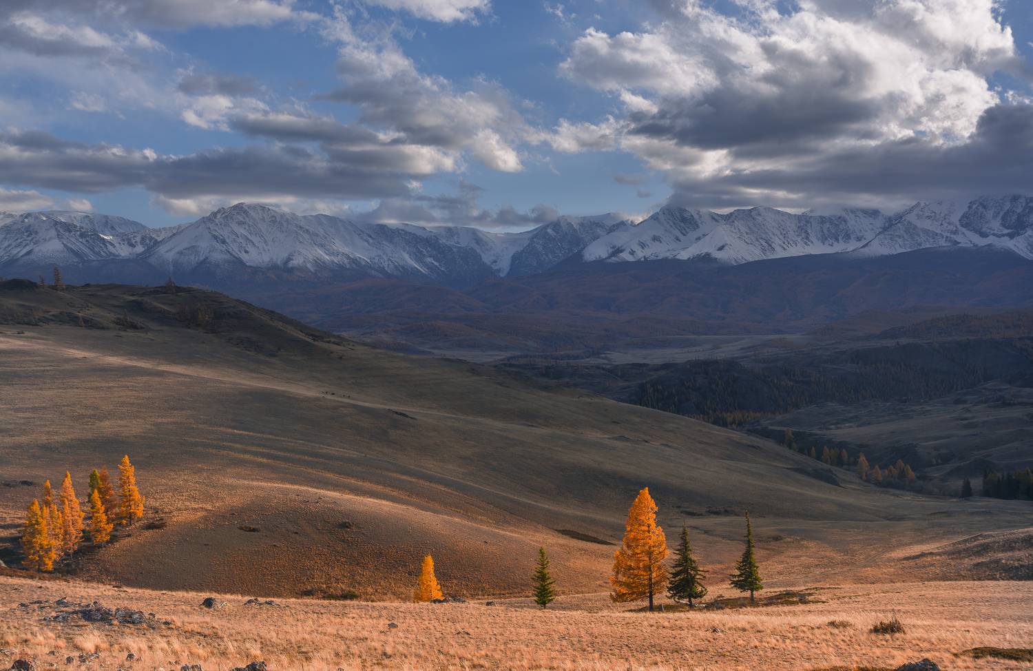 россия, горный алтай, ближе к вечеру, золотая осень, осенний пейзаж, Поляков Андрей
