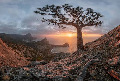 Райские рассветы