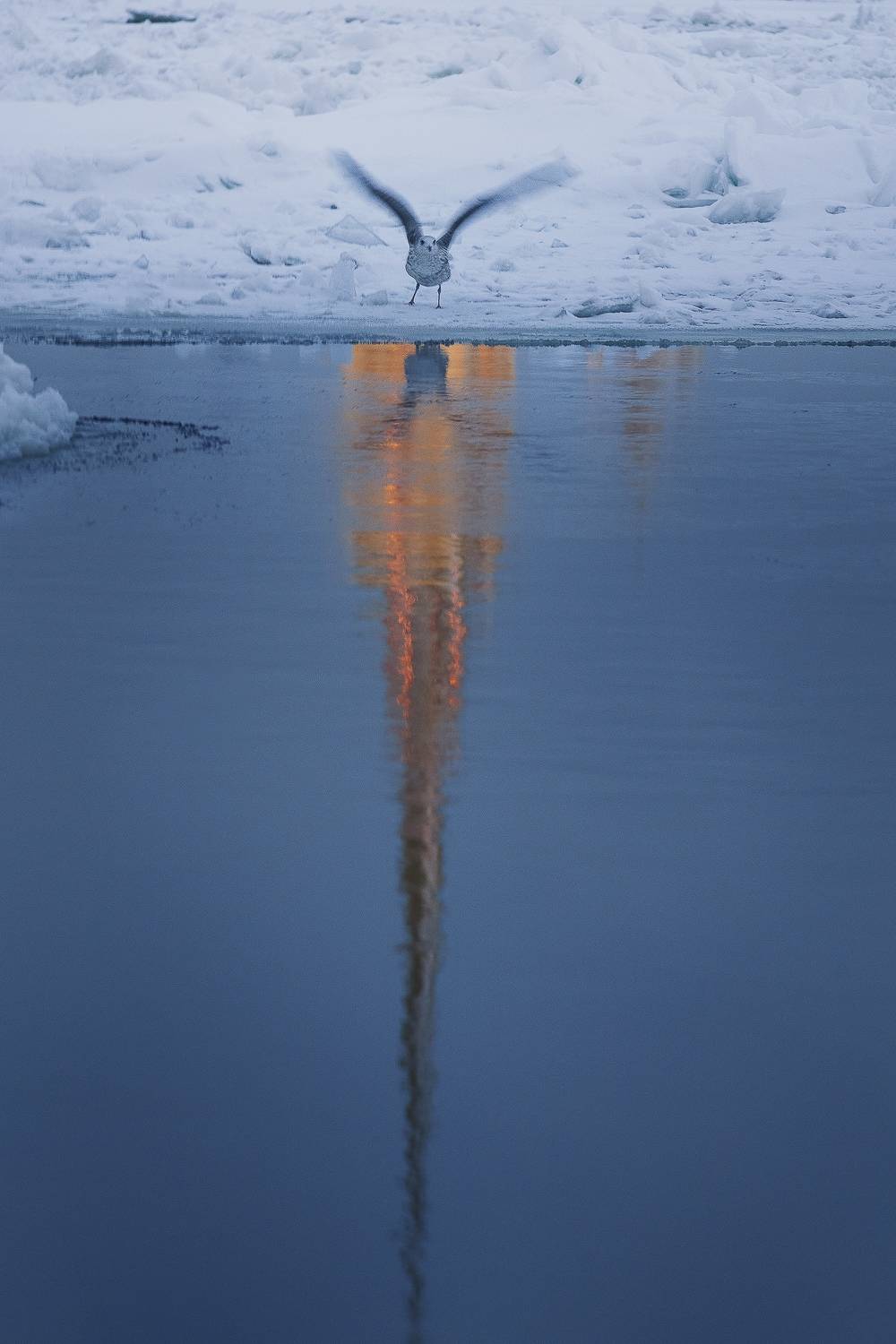 , Наталья Лабодина