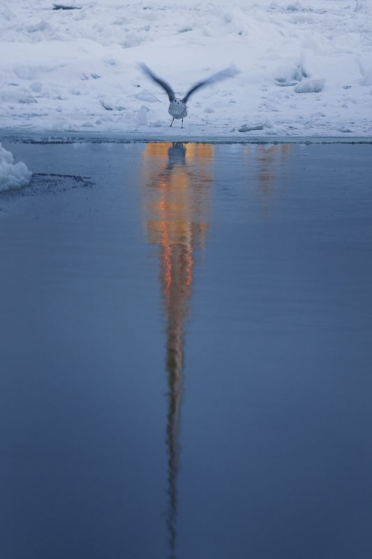 Взлетаем… фото превью