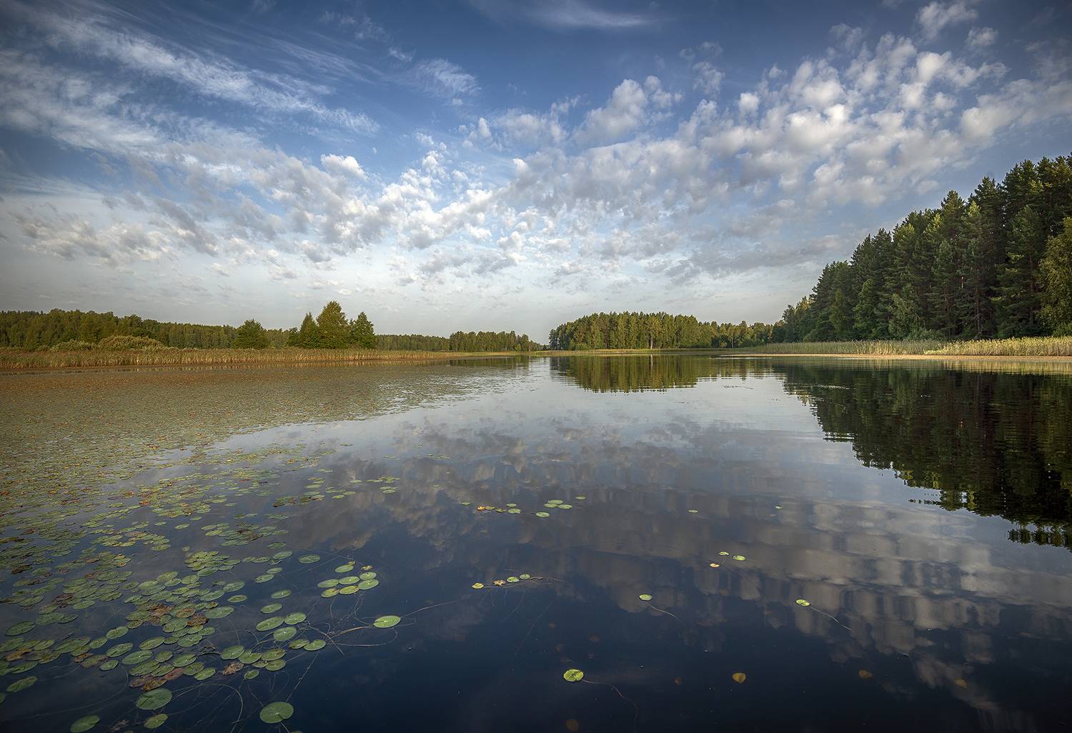 , Сергей Аникин