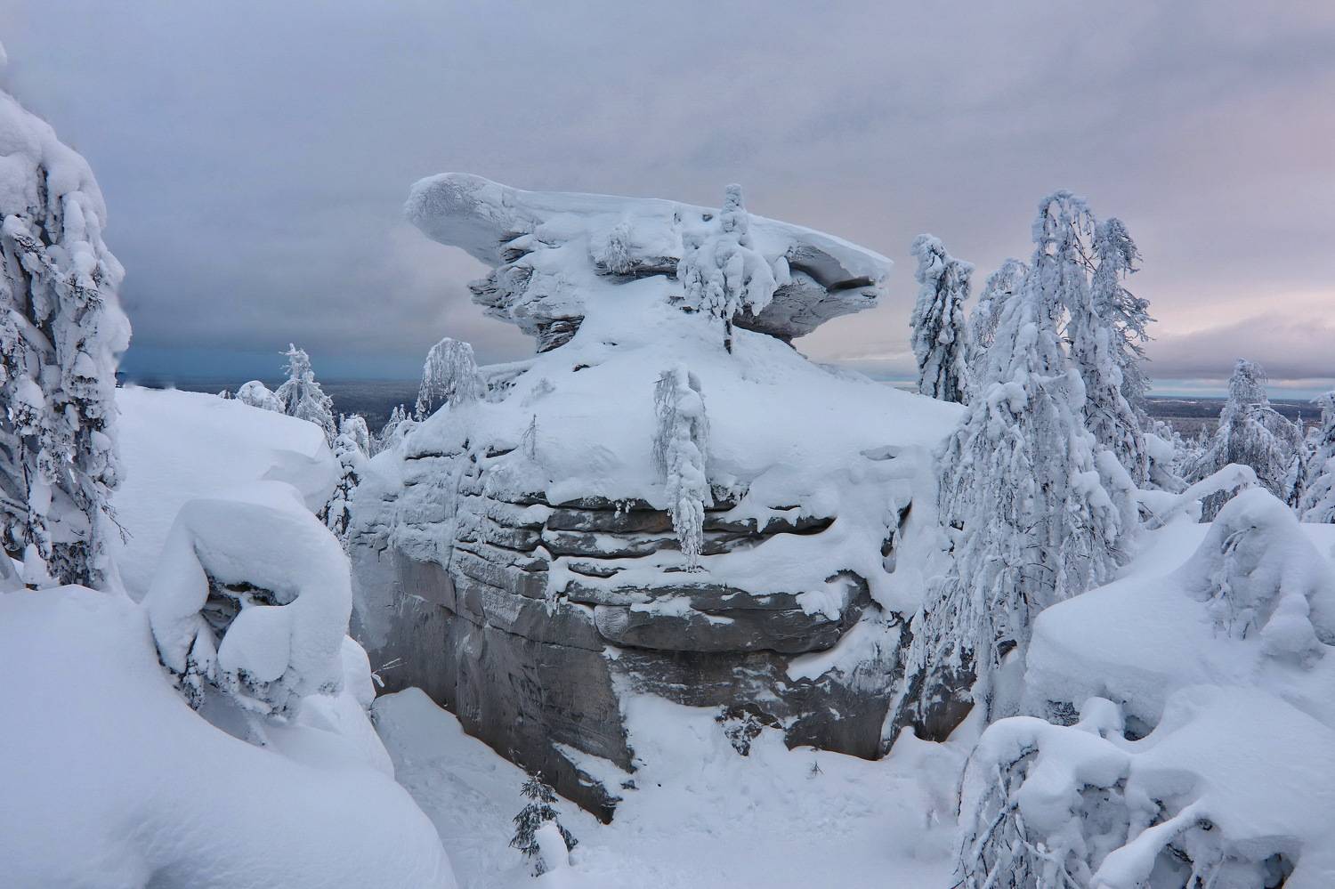 пермский край, Добролюбова Тамара