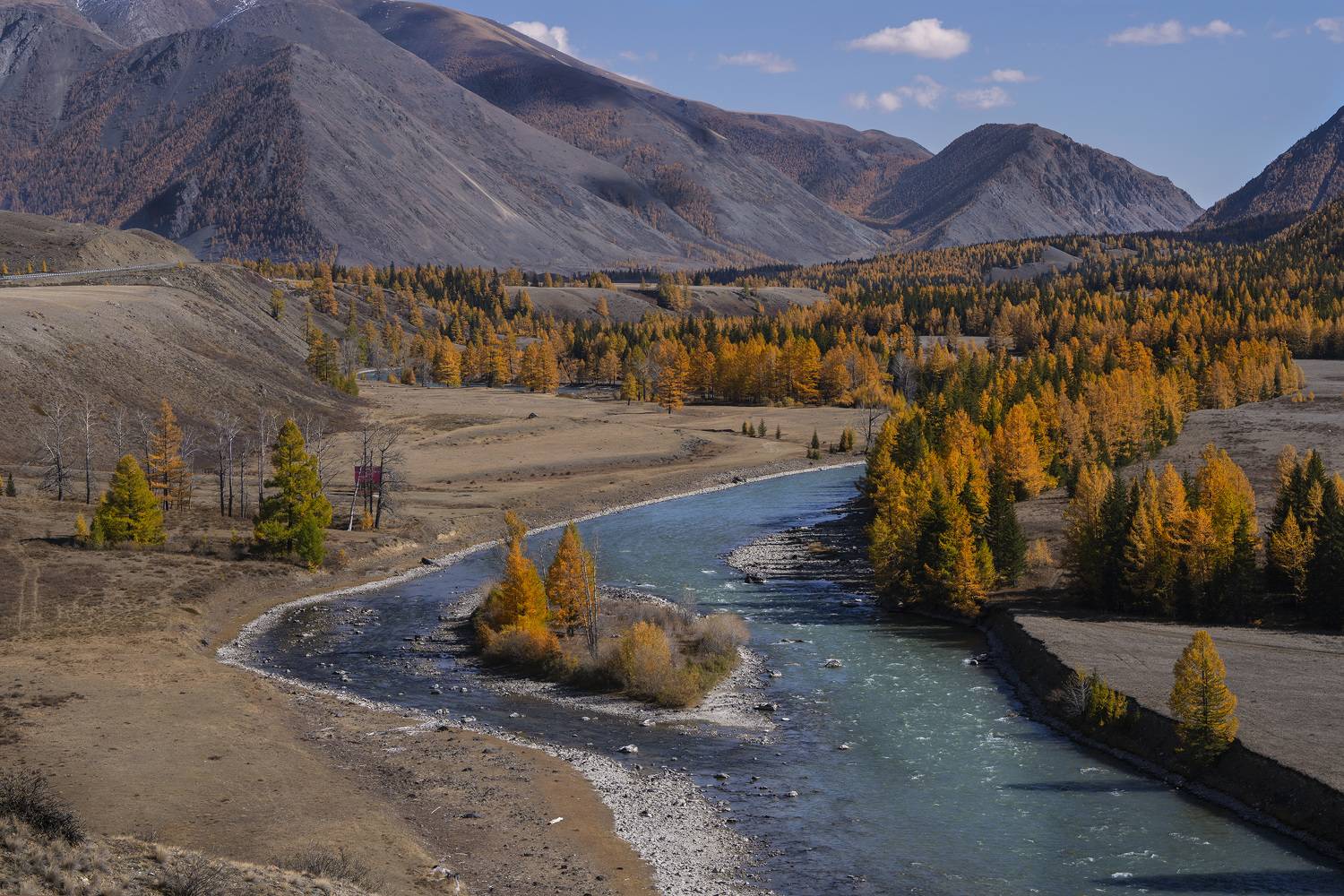 Чуя, осень, Алтай, Галина Дейнекина