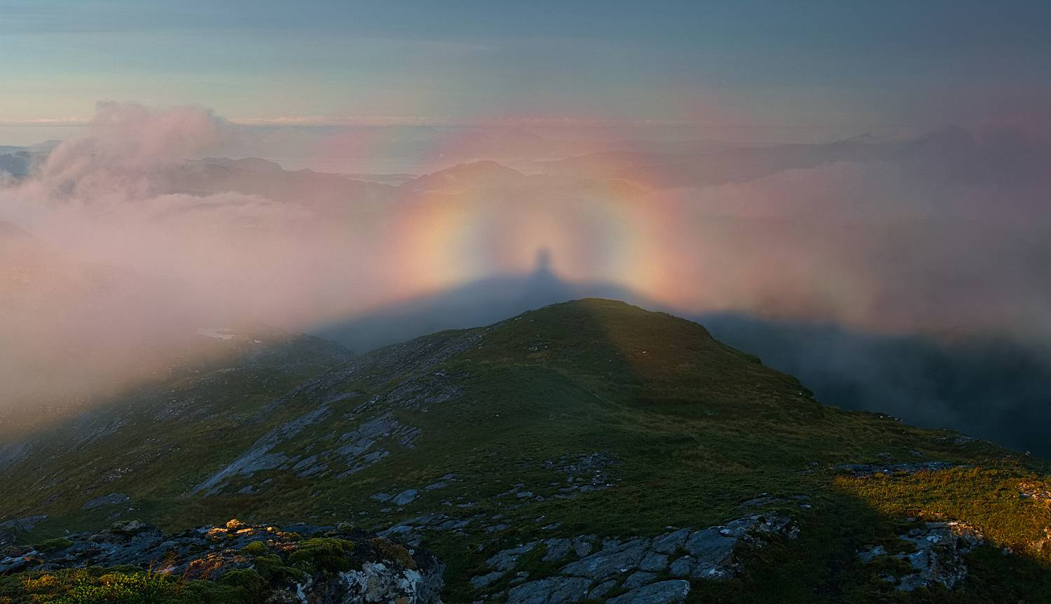 , Wojciech Tarnowski