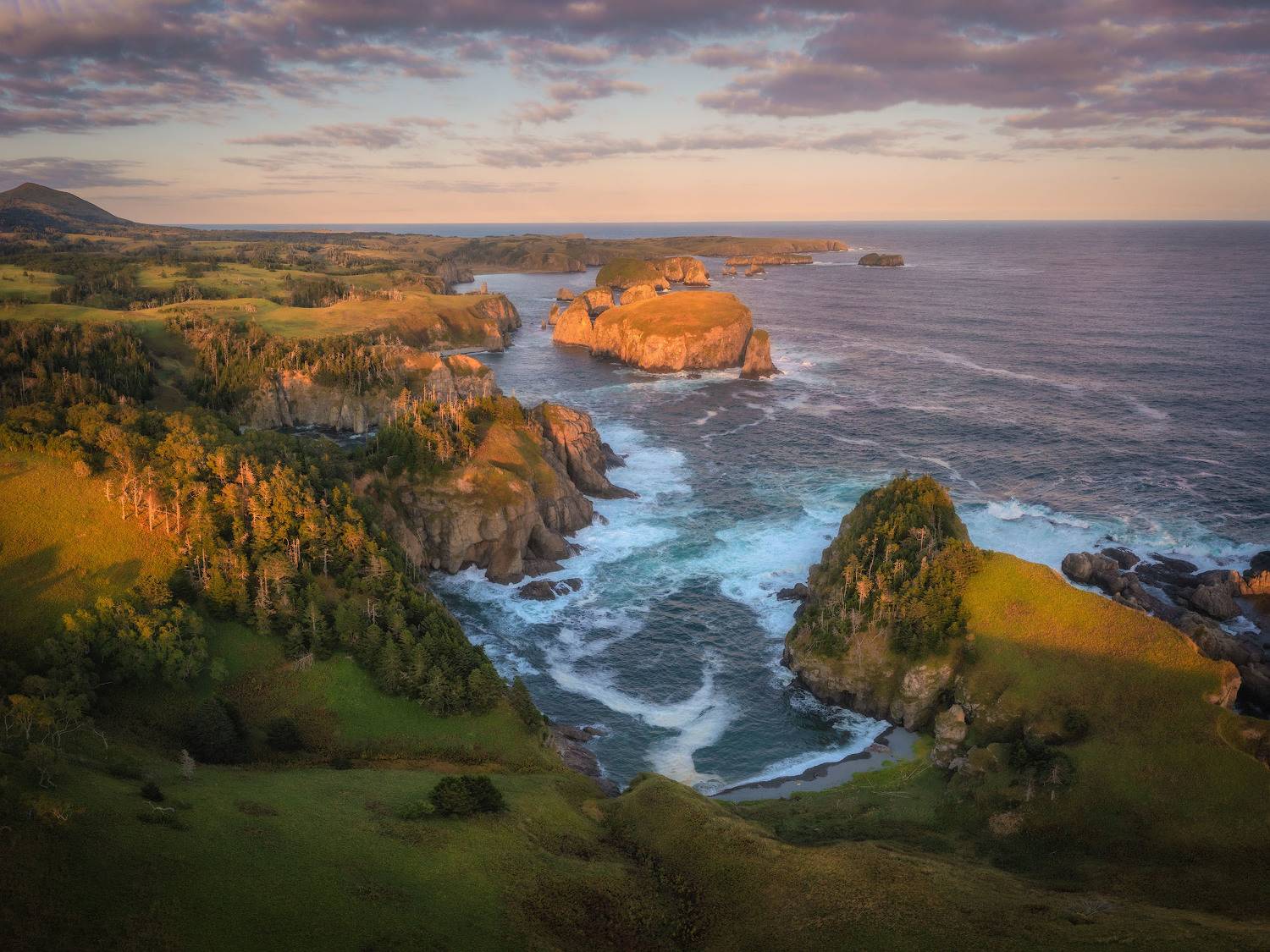 курилы, Андрей Грачев