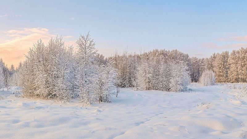 зима снегопад  облака лес Нежная и снежная зима фото превью