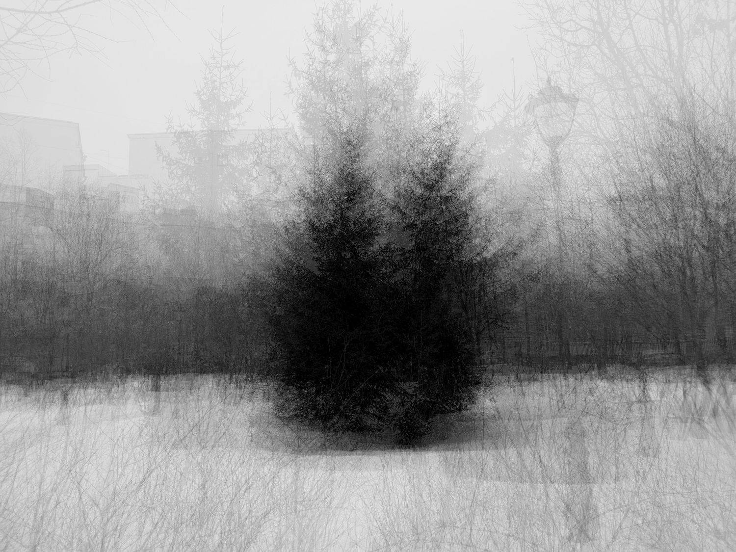 , Антон Лаба