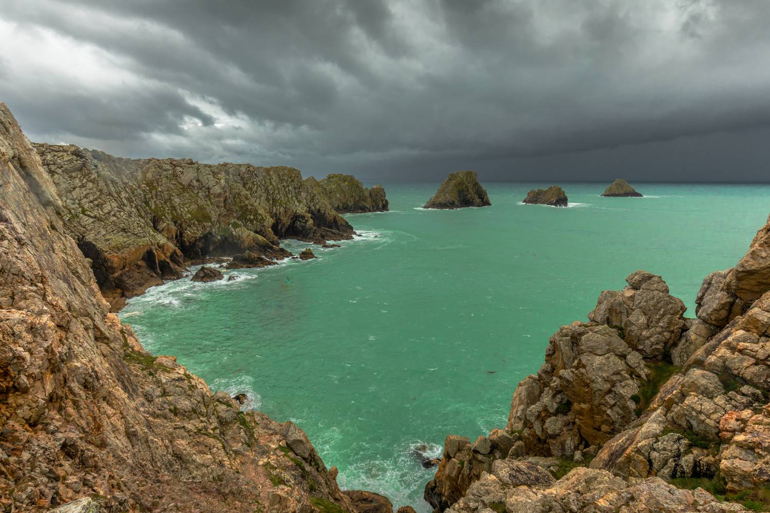 , Евгения Чех