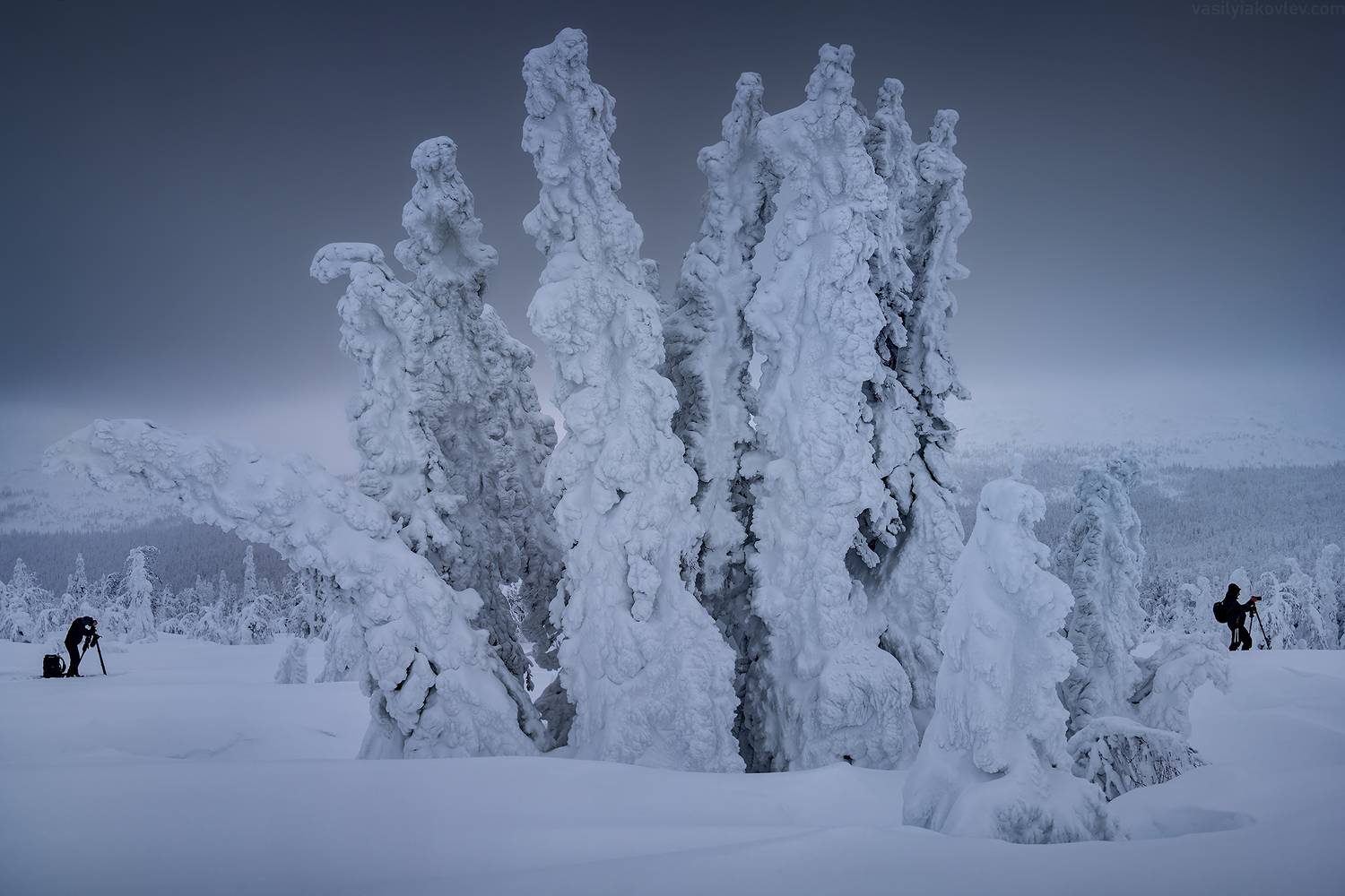 гух, фототур, яковлевфототур, урал, север, зима, Василий Яковлев