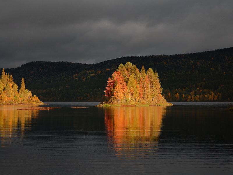 карелия, паанаярви, осень. Хмурое утро. Осветило осень. фото превью