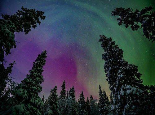 Сказочная тайга