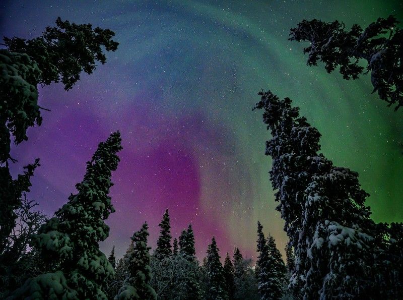 тайга, север, сияние Сказочная тайга фото превью