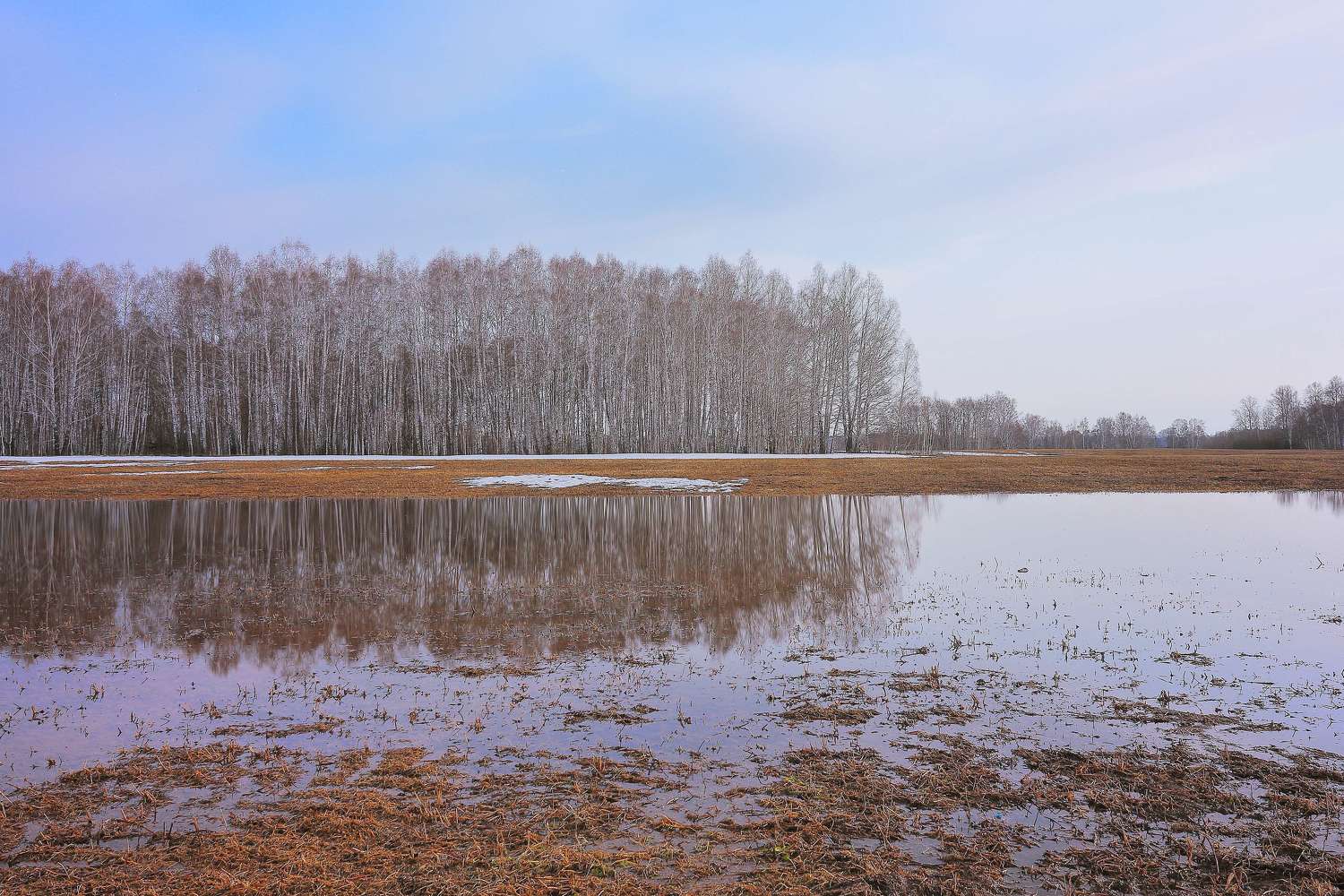 , Пермяков Михаил