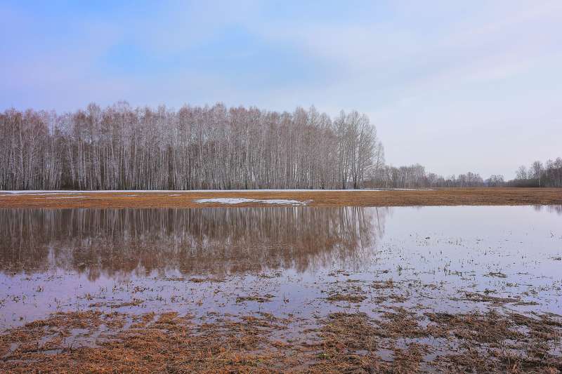 Полминуты апреля фото превью