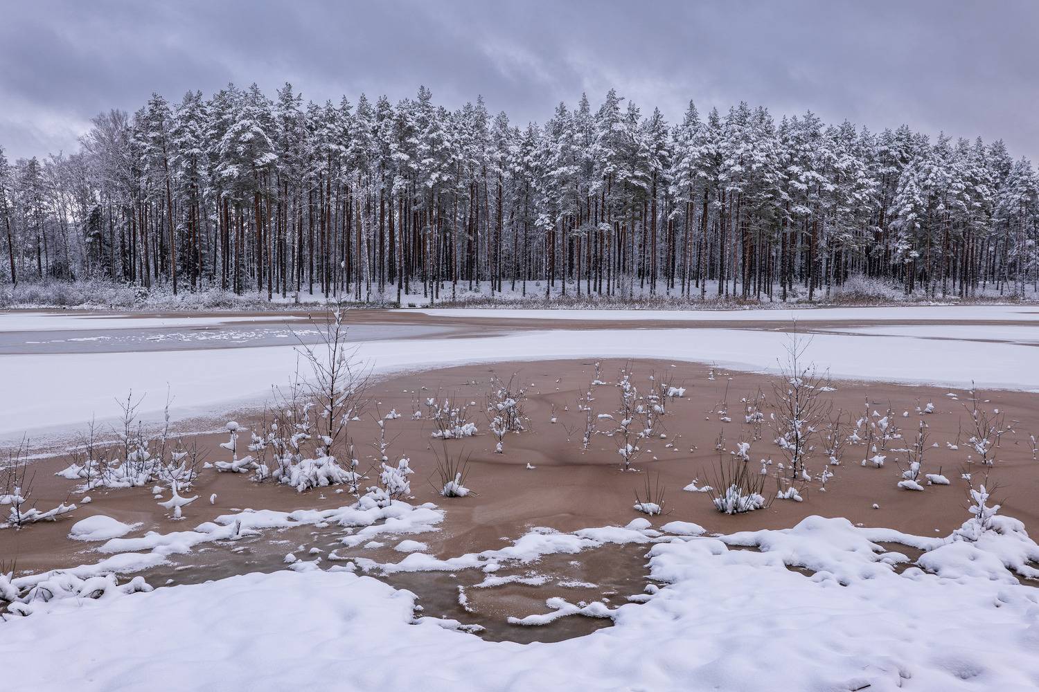 , Гордон Николай