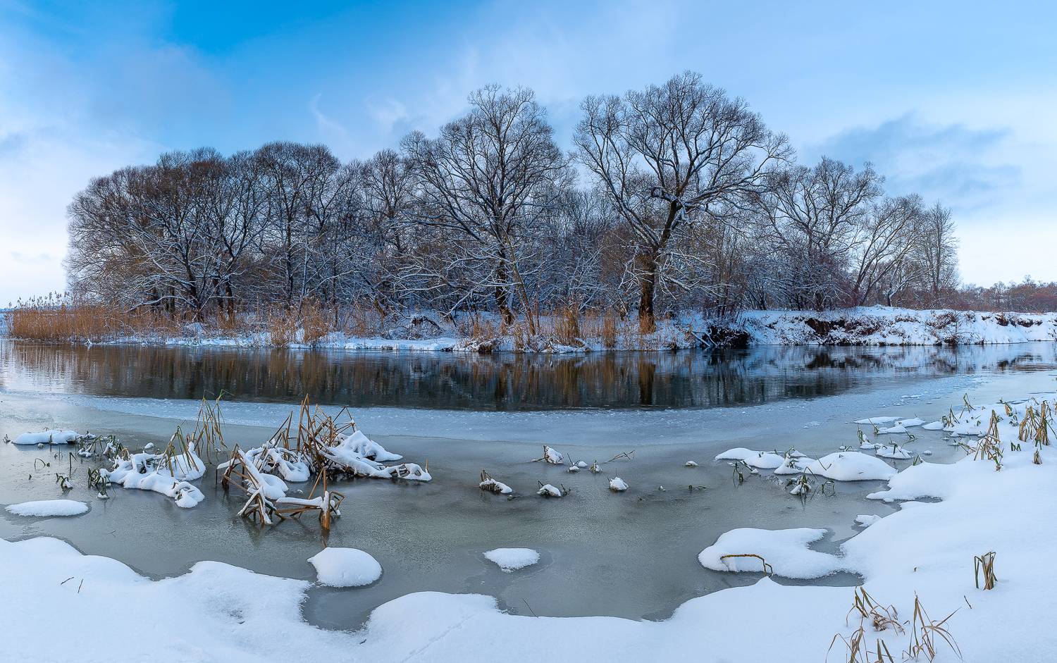 , Роман Игнатьев