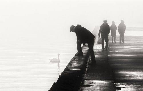 Зарисовки туманной зимы.