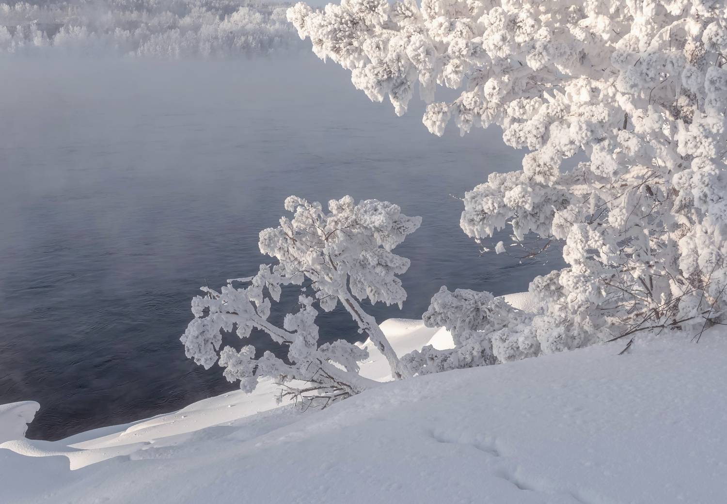 зима, мороз, иней, сибирь, енисей, енисейская сибирь, Фомина Марина