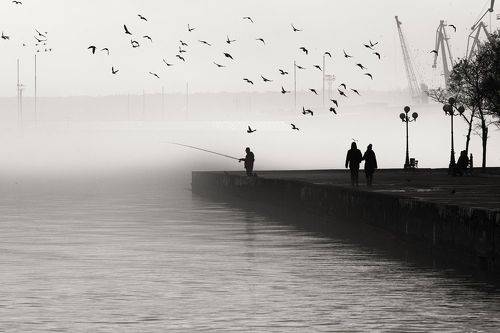 Зарисовки туманной зимы.