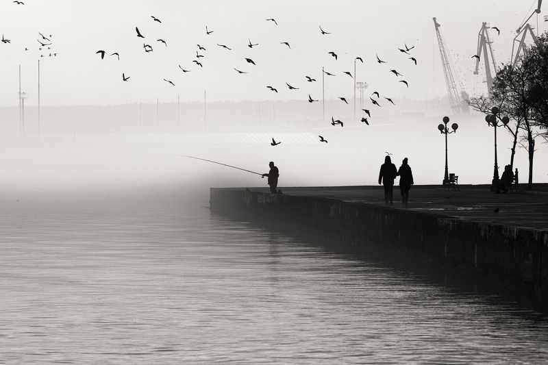 Зарисовки туманной зимы. фото превью
