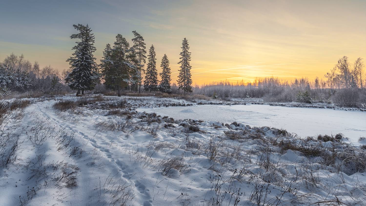 , Андреев Николай