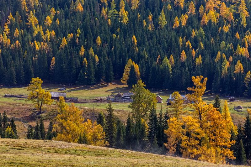 алтай. *** фото превью