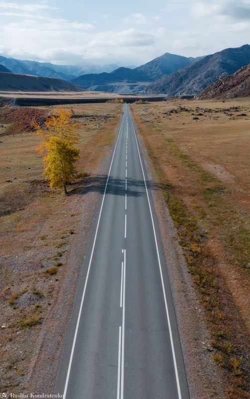 алтай, осень, горный алтай, степь Осенние краски Алтая фото превью