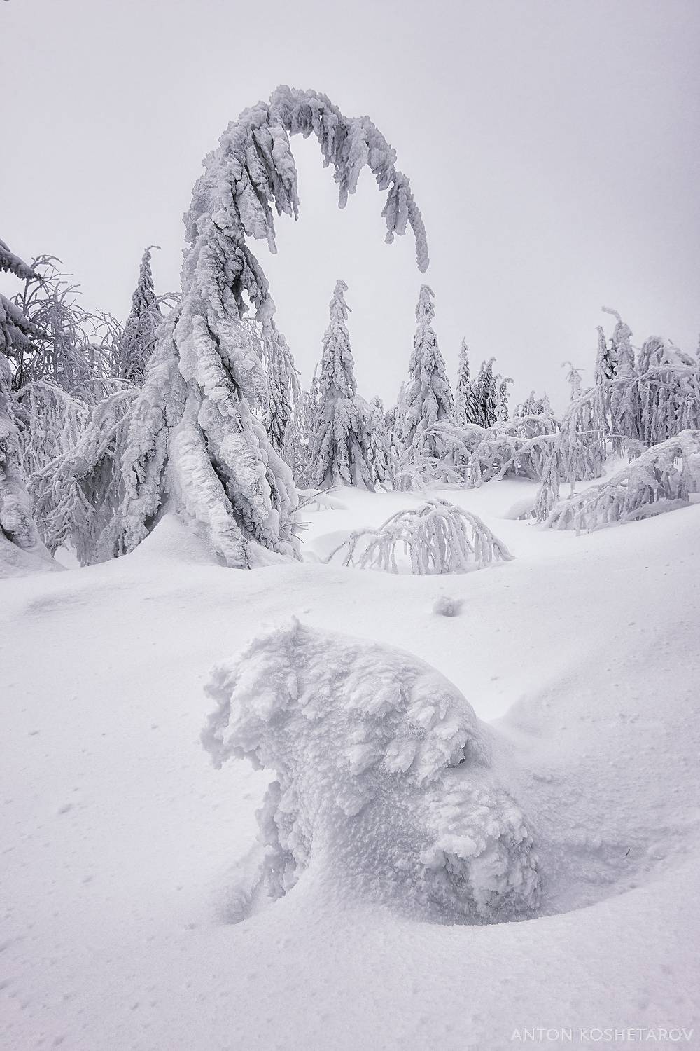 , Антон Кошетаров
