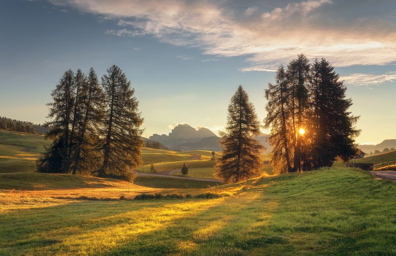 Alpe di Siusi, Dolomites, South Tyrol, mountains Тепло горного утра фото превью