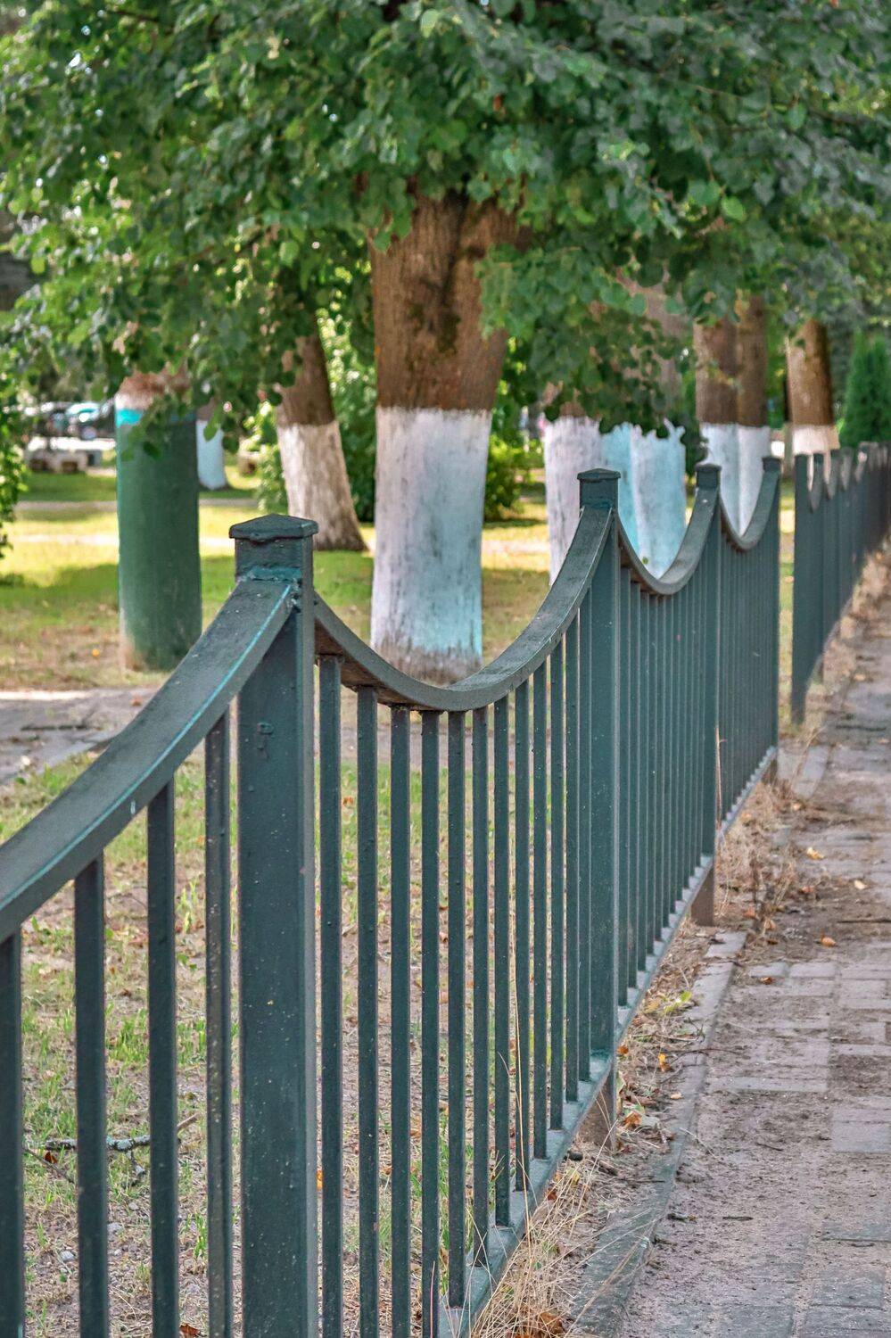 , Александр Сахар