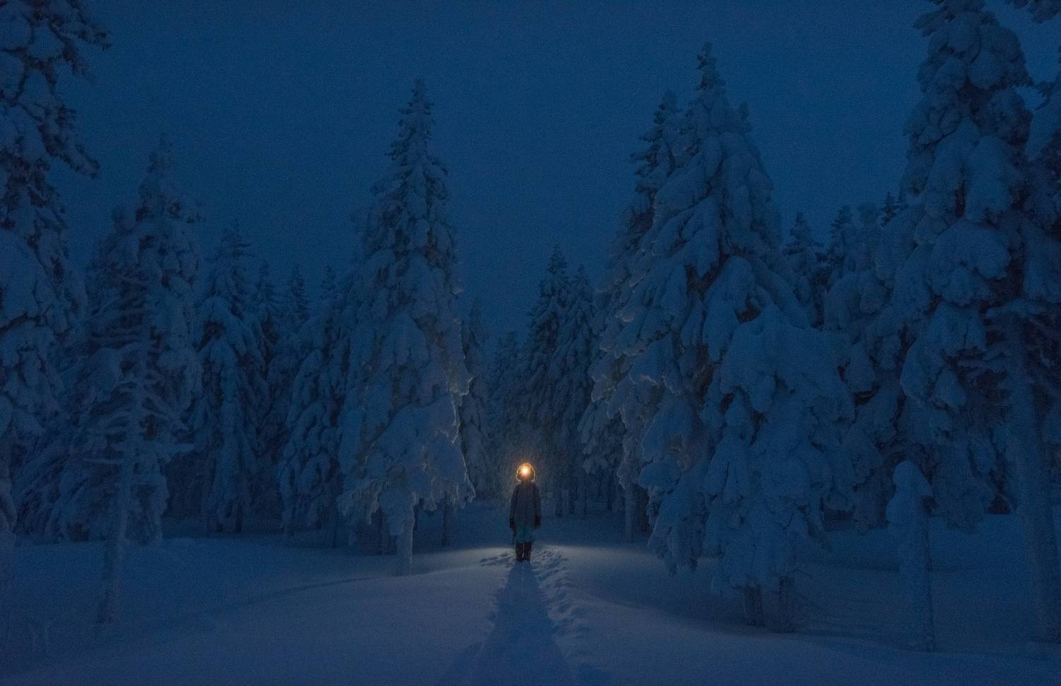, Алексей Проняхин