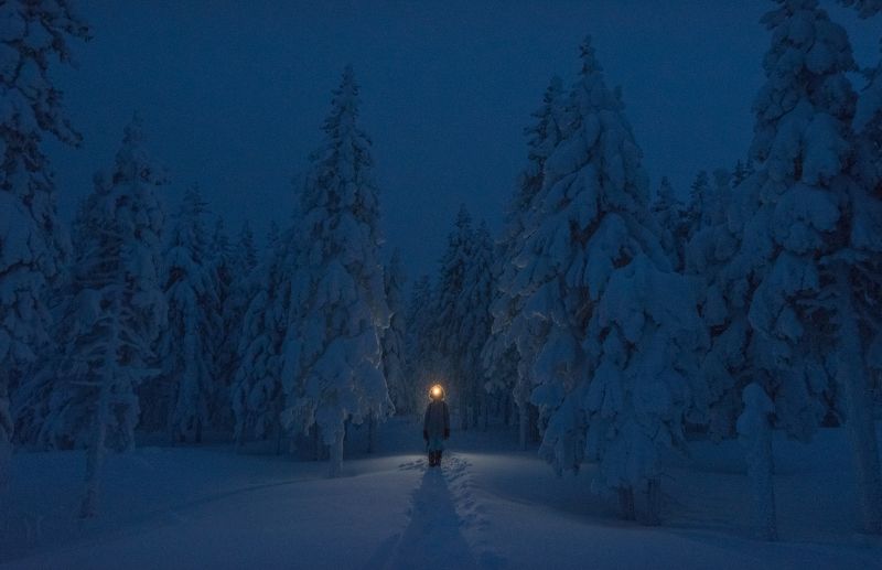 Ночная метель фото превью