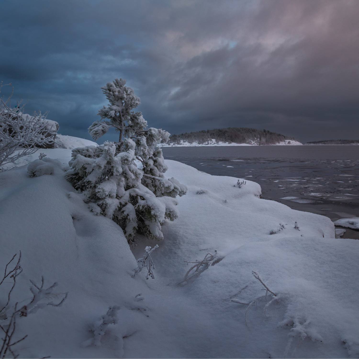 берёзово ленинградская_область ладожское_озеро ладога острова_горбы вечер закат, Шишкин Дмитрий