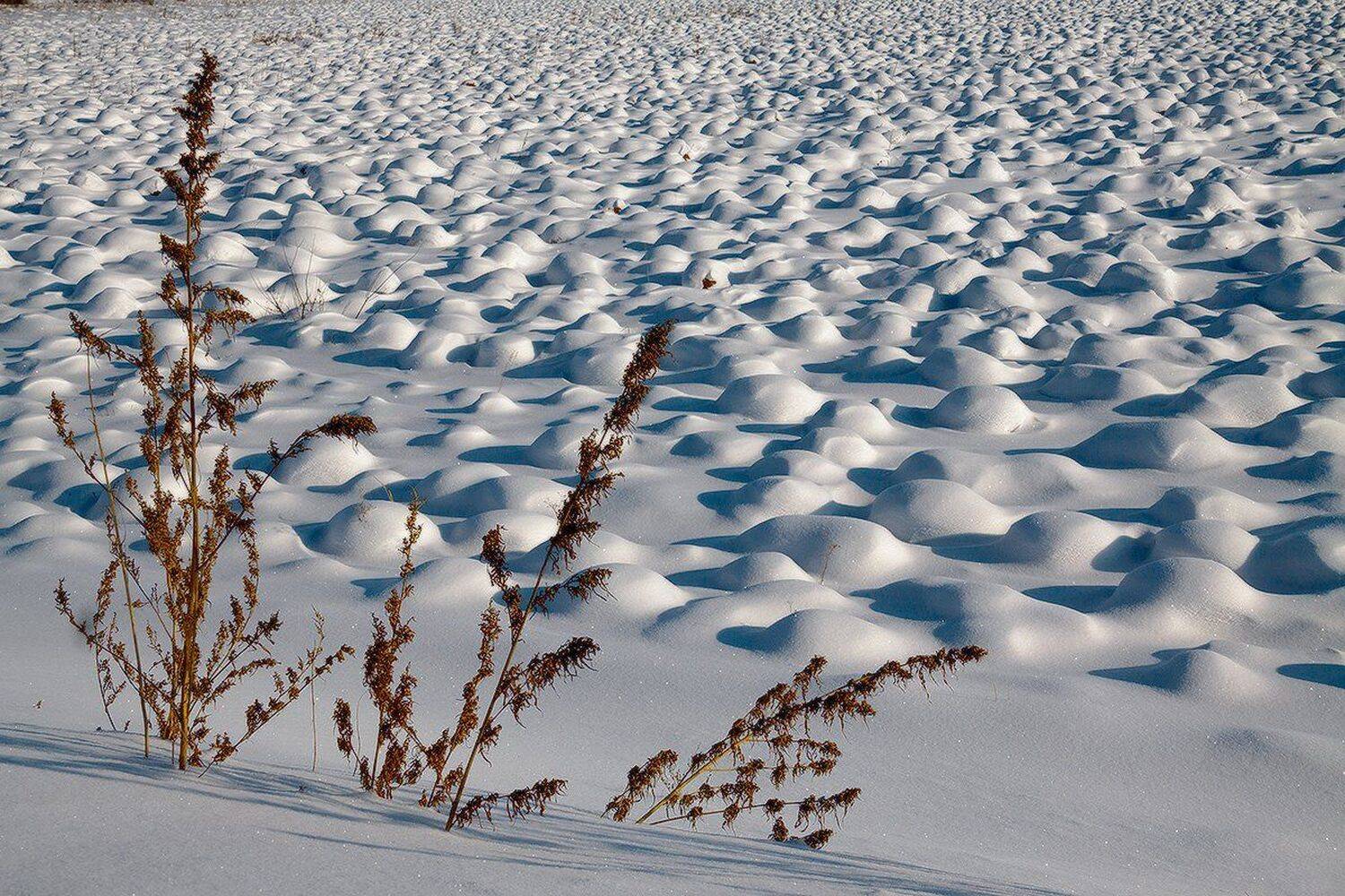 , Николай Морский