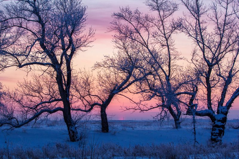 Закатная графика фото превью