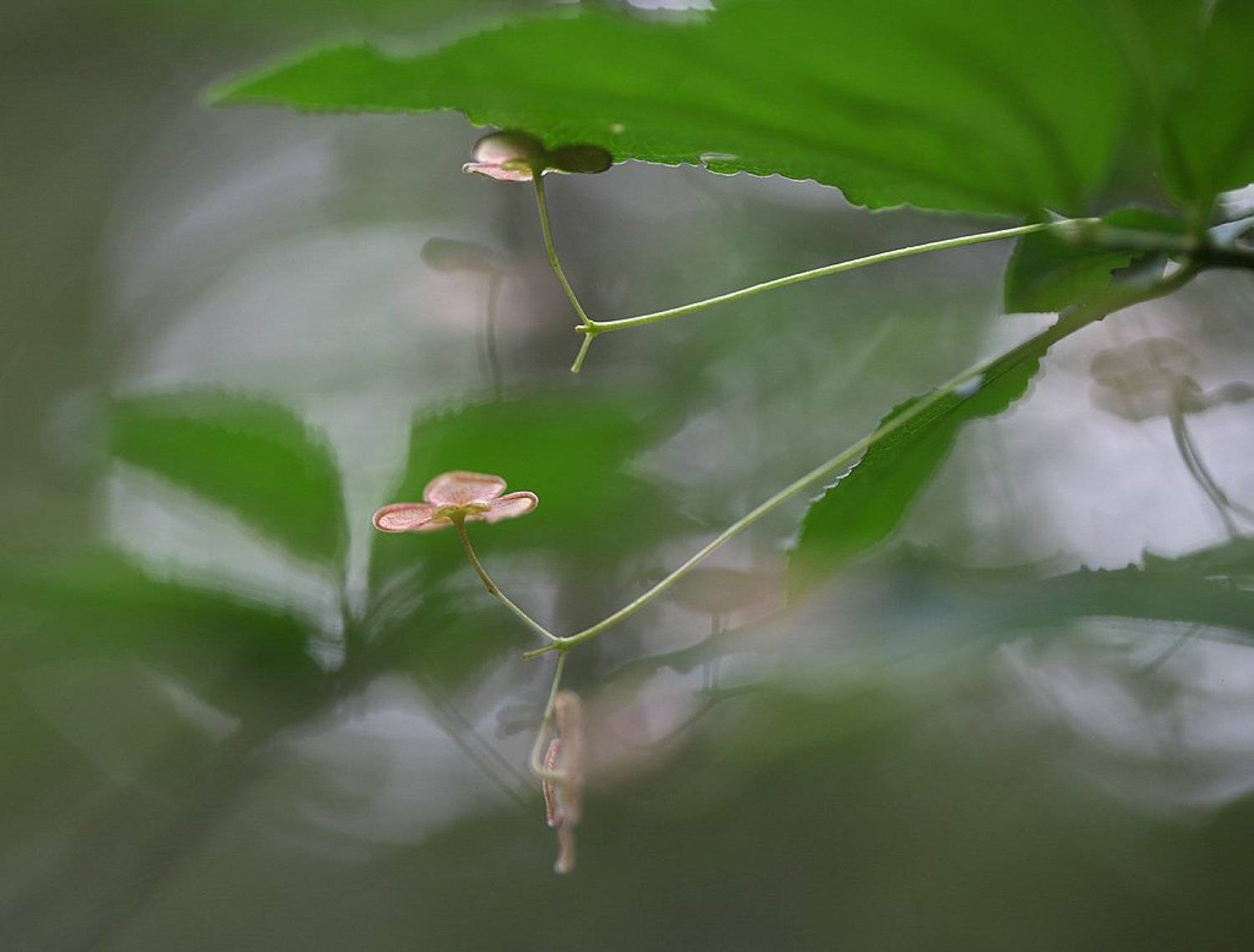 , Сергей Таланов