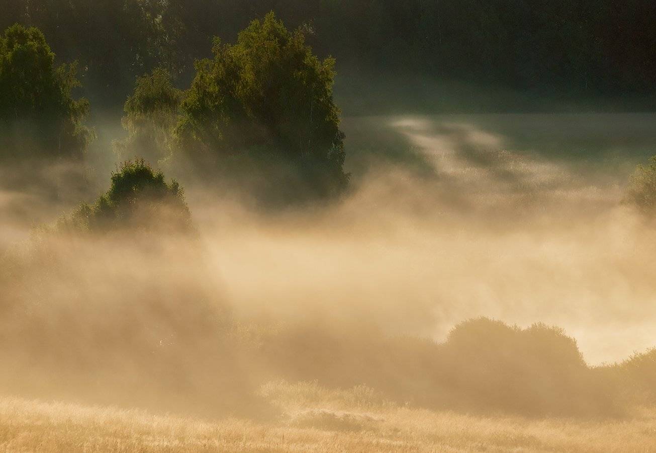 , Владимир Перепечаев