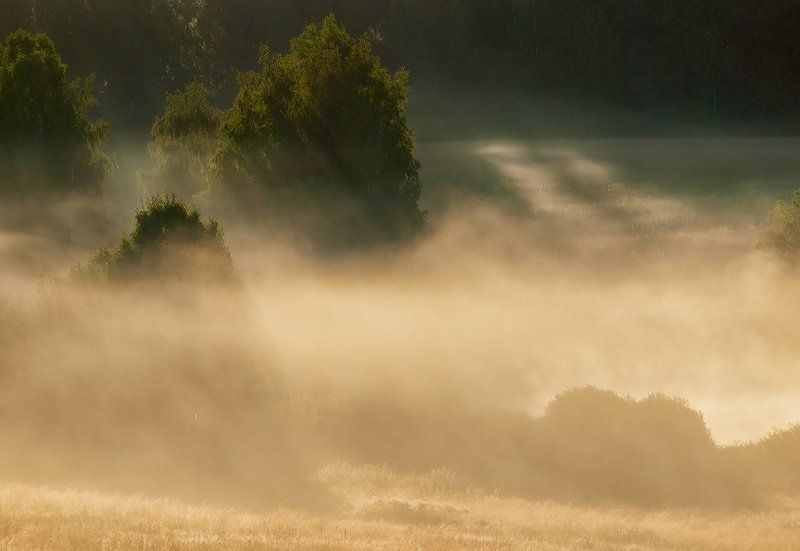 Про летний свет... фото превью