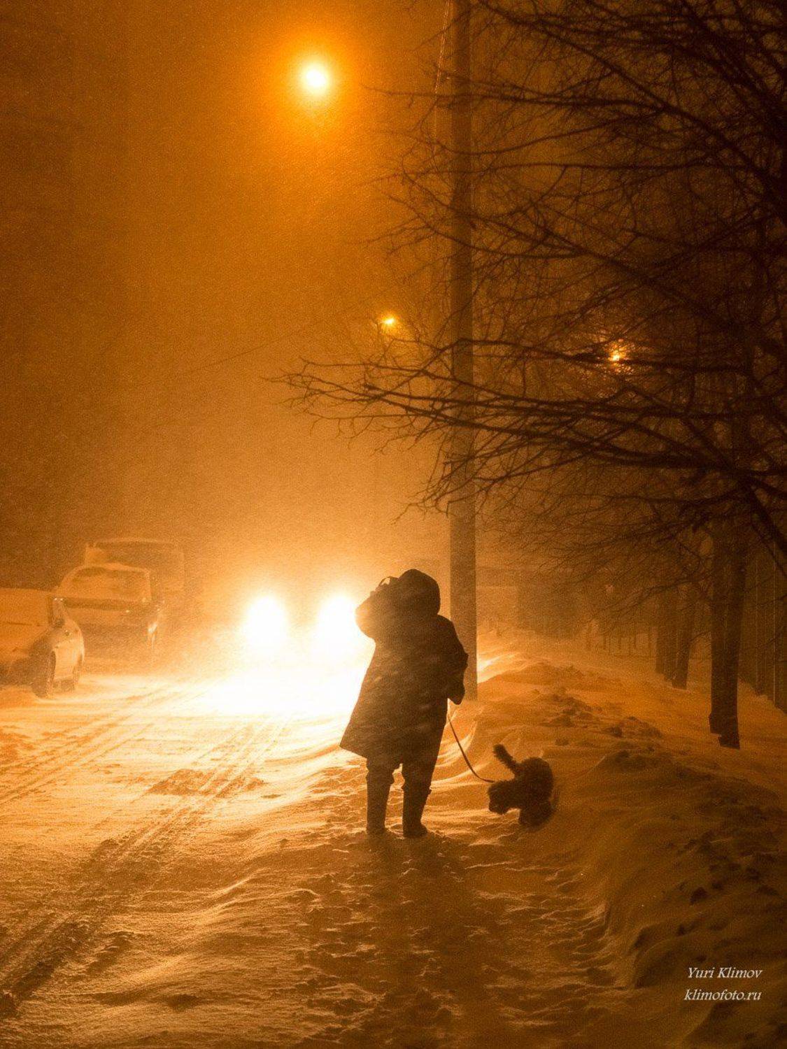 , Лунный Ежик