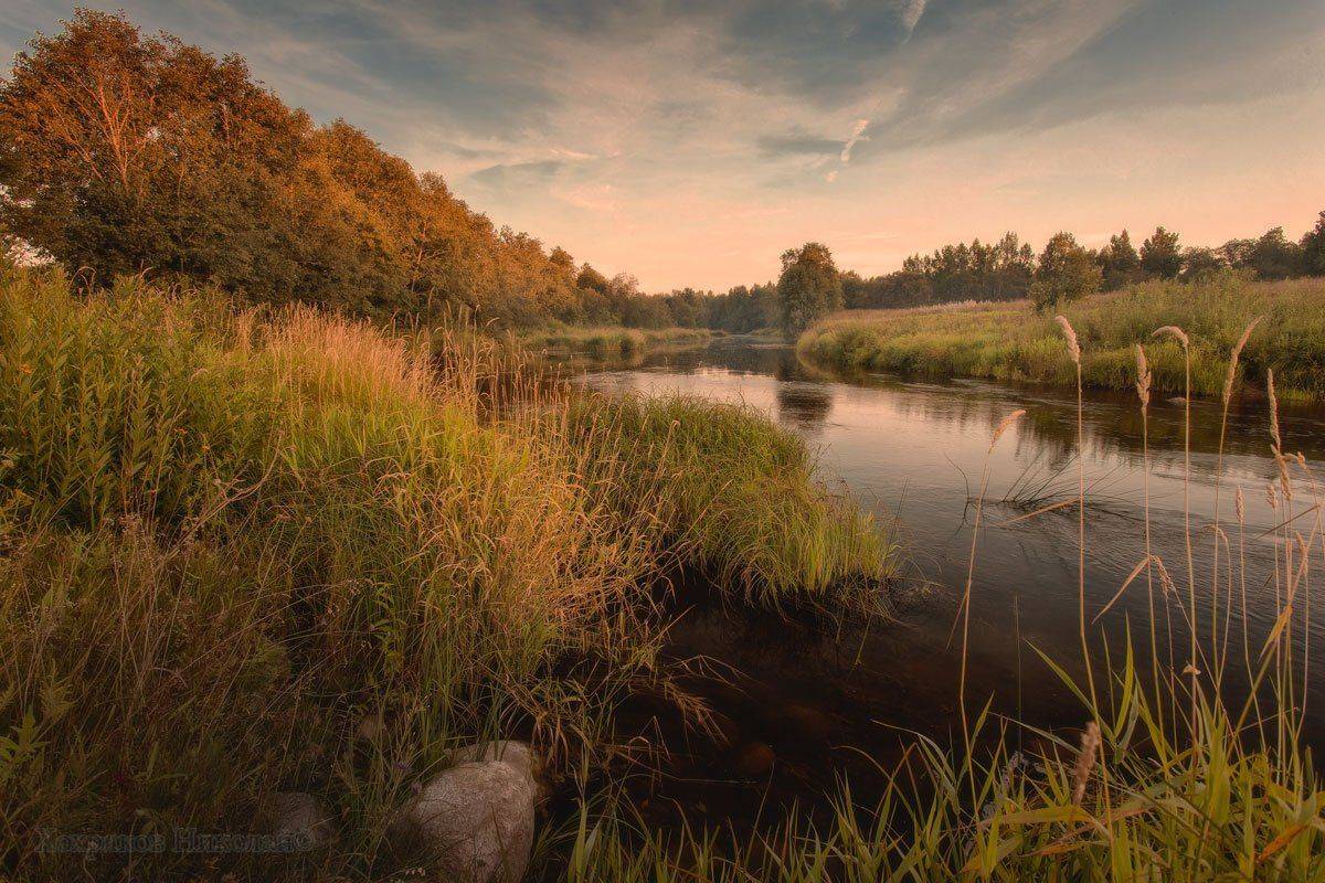 , Хохряков Николай