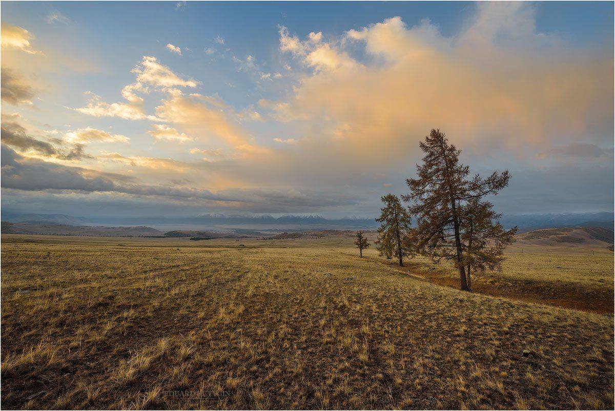 , Кутыгин Эдуард