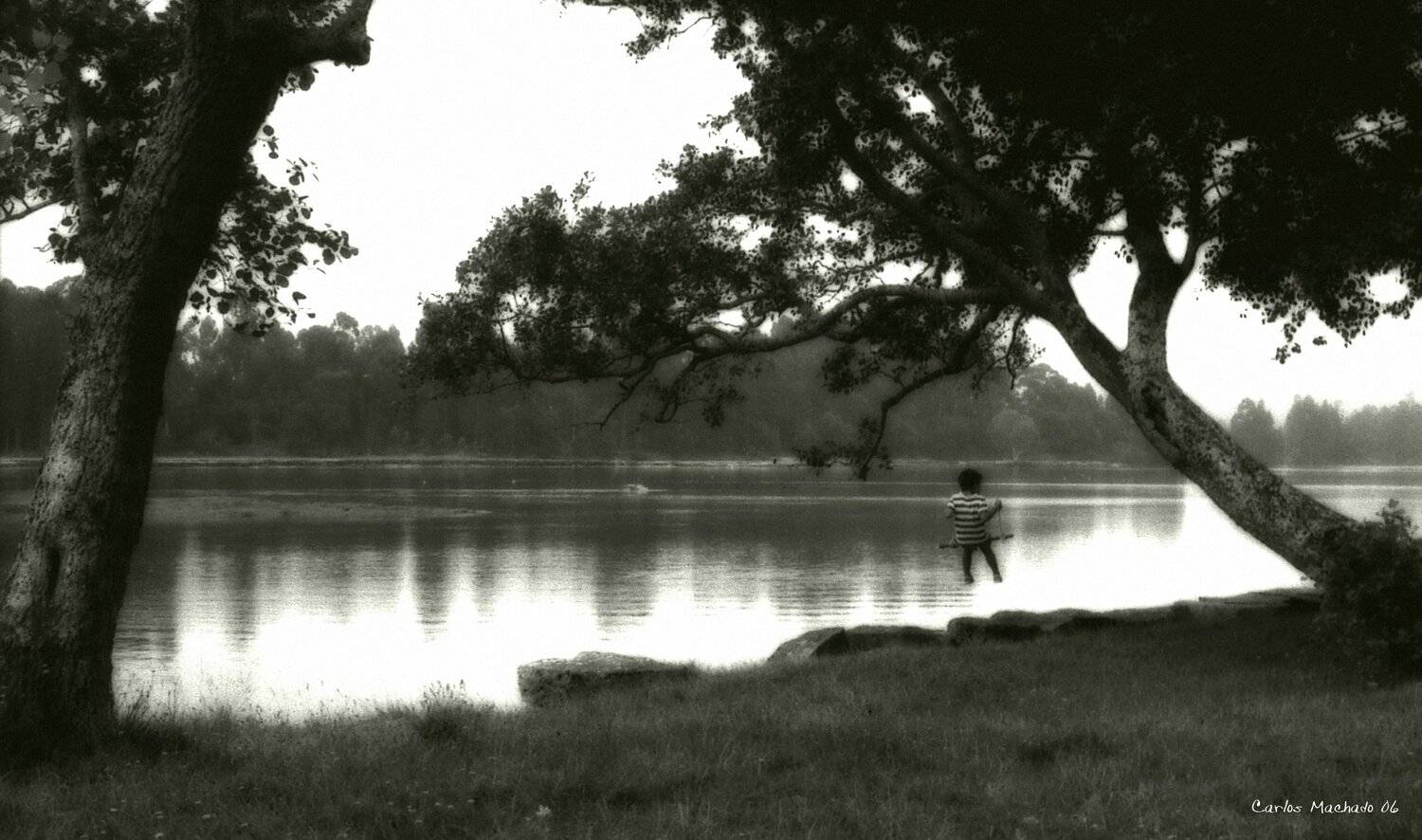 nature, landscape, black & white, travel, genre portrait,, Carlos Machado