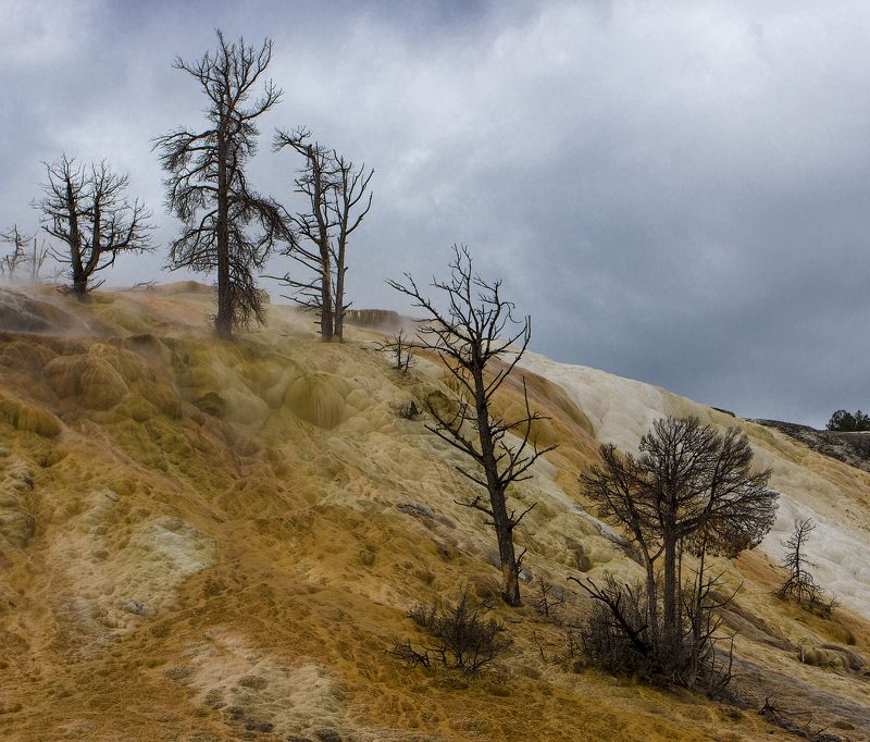 yellowstone, hot springs, mamoth hot springs Смертоносные источники фото превью