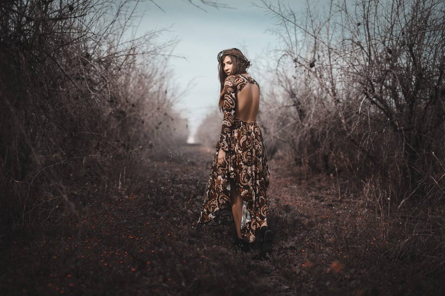 , Мишель Висипский