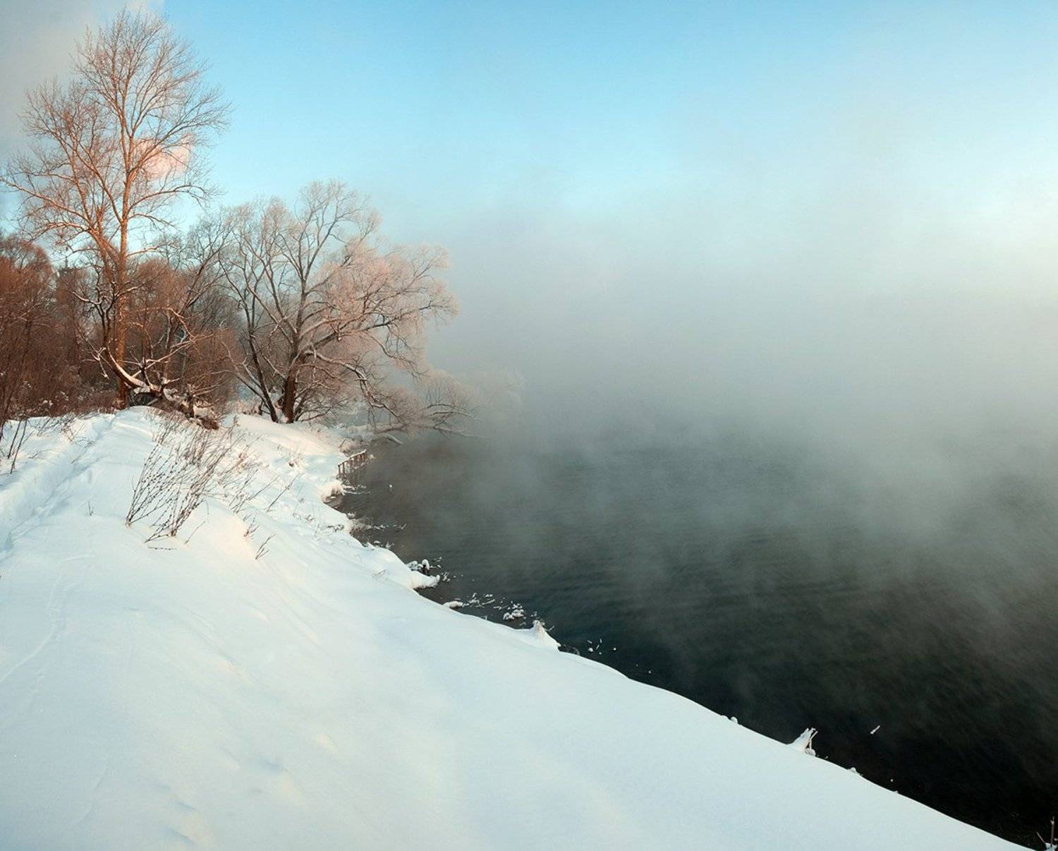 , Анатолий Зверев