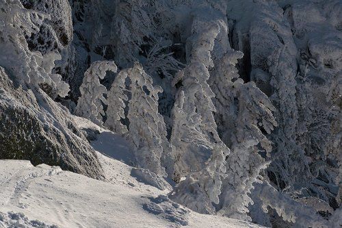 Pro царство Снежной королевы