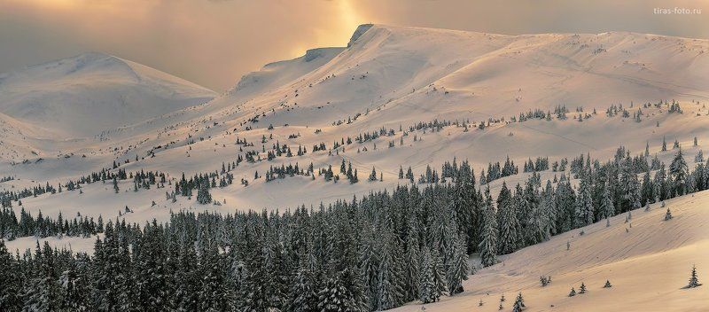 Карпаты, горы, зима, закат, Драгобрат, снег Серебро Драгобрата фото превью