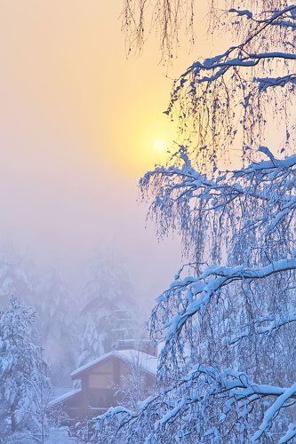 Февральским утром