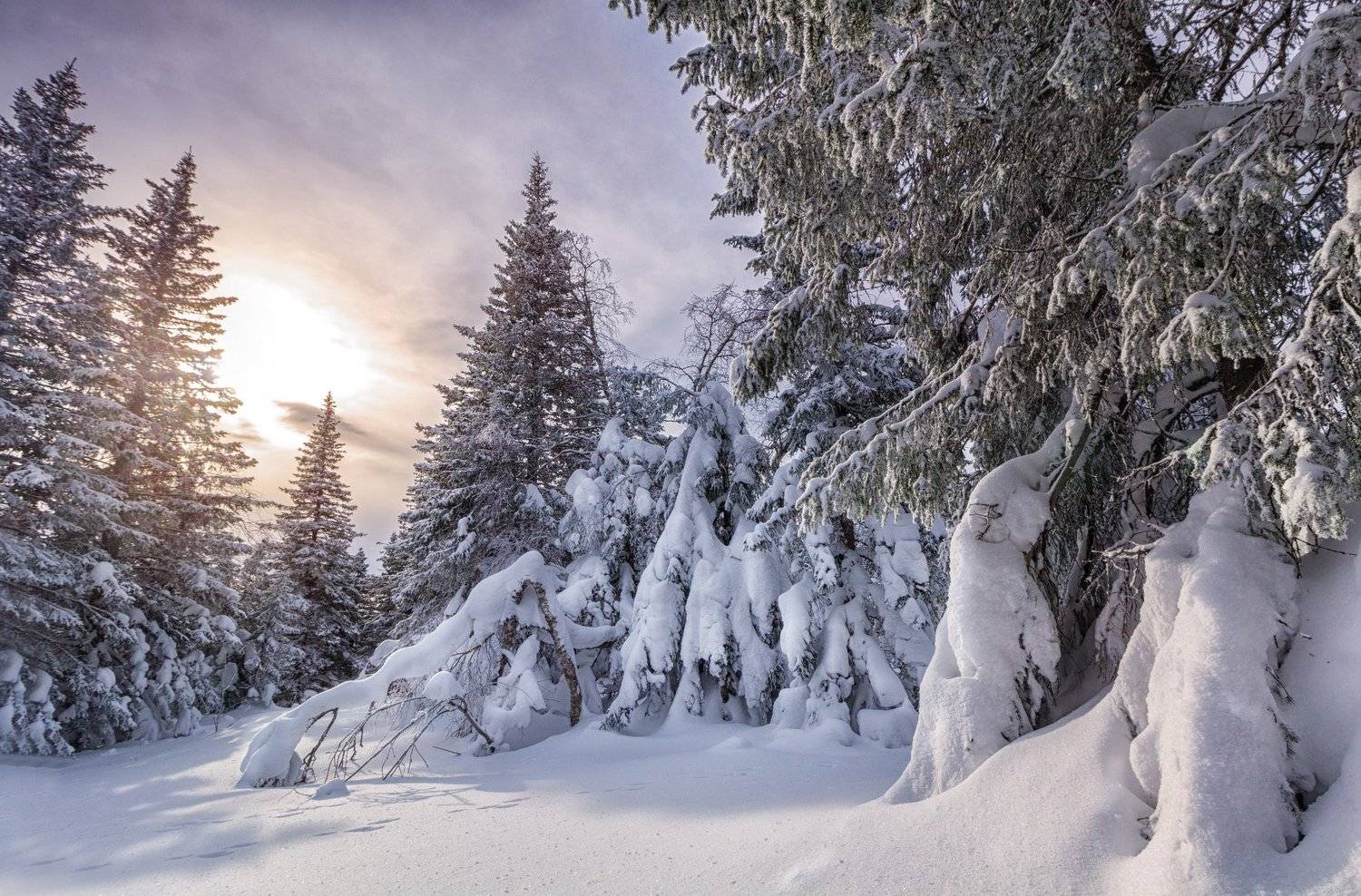 , Скиндерева Ольга